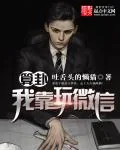 《算卦我靠玩微信》小说封面