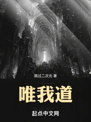 《唯我道》小说封面