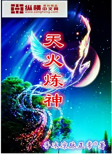 《天火炼神》小说封面