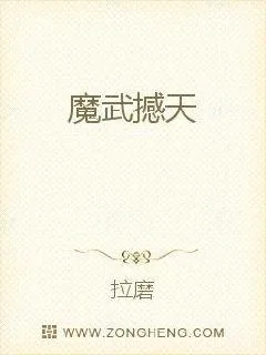 《魔武撼天》小说封面