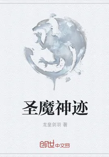 《圣魔神迹》小说封面