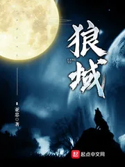 《狼域》小说封面