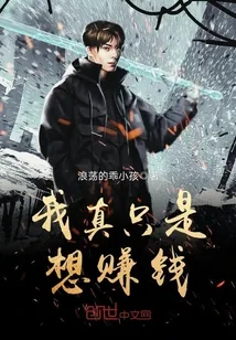 《我真只是想赚钱》小说封面
