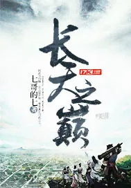 《长天之巅》小说封面