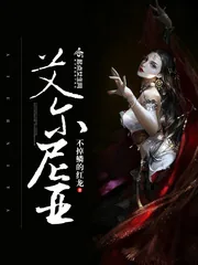 《艾尔尼亚》小说封面