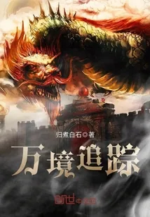 《万境追踪》小说封面