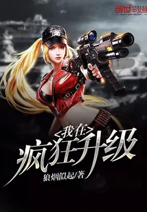《我在疯狂升级》小说封面