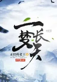 《一梦长天》小说封面