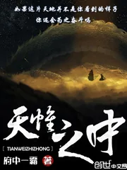 《天帷之中》小说封面