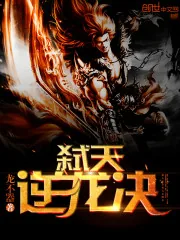 《弑天逆龙决》小说封面