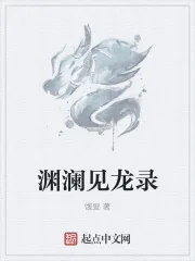 《渊澜见龙录》小说封面