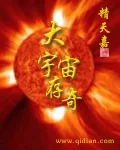 《大宇宙存奇》小说封面
