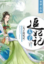 《太子追妃记》小说封面