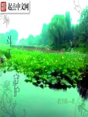 《神凤剑尊》小说封面