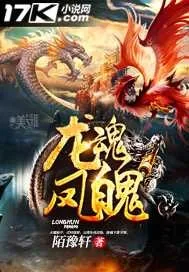 《龙魂凤魄》小说封面