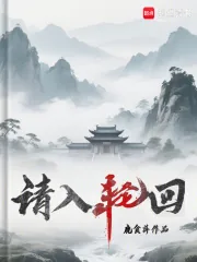 《请入轮回》小说封面