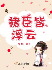 《裙臣皆浮云》小说封面
