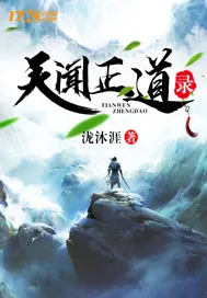 《天闻正道录》小说封面