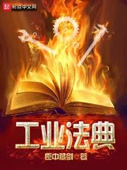 《工业法典》小说封面