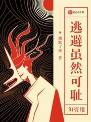 《逃避虽然可耻但管用》小说封面