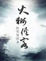 《火狮侠客》小说封面