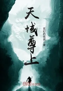 《天域尊上》小说封面