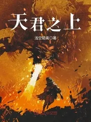 《天君之上》小说封面