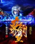 《九界剑皇》小说封面