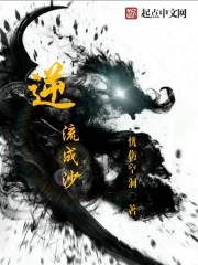 《逆流成沙》小说封面