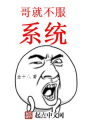 《文娱新贵》小说封面