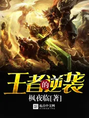 《王者的逆袭》小说封面