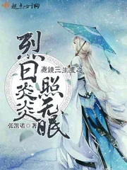 《麑镜三生昼之烈日炎炎照无眠》小说封面