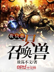 《我只是一只召唤兽》小说封面