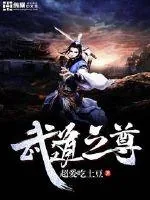 《武道之尊》小说封面