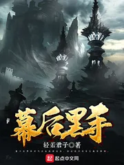 《幕后黑手》小说封面