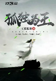 《孤独为王》小说封面