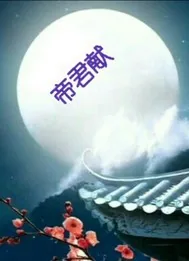 《帝君献》小说封面