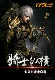 《骑士纵横》小说封面