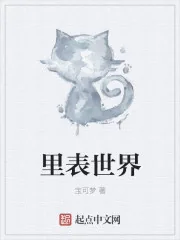 《里表世界》小说封面