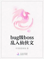《bug级boss乱入仙侠文》小说封面