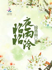 《昭昭夜雨泠》小说封面