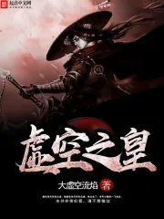 《虚空之皇》小说封面