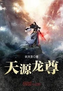 《天源龙尊》小说封面