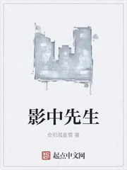 《影中先生》小说封面