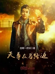 《天尊在马路边》小说封面