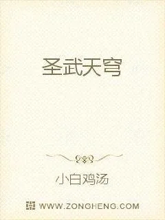 《圣武天穹》小说封面