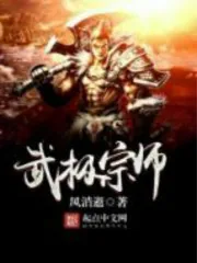 《武极宗师》小说封面