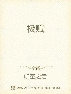 《极赋》小说封面