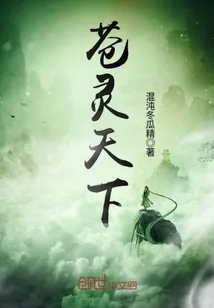 《苍灵天下》小说封面