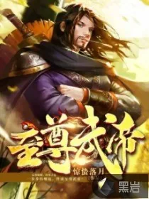 《至尊武帝》小说封面